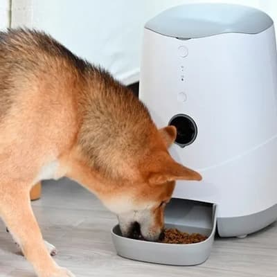 alimentador-para-mascotas-am35vcdtcw-thumb-2