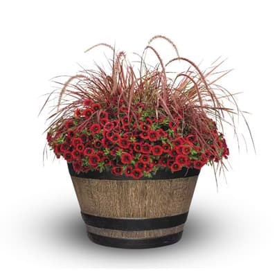 maceta-wine-barrel-205-kentucky-walnut-wine-barrel-thumb-1