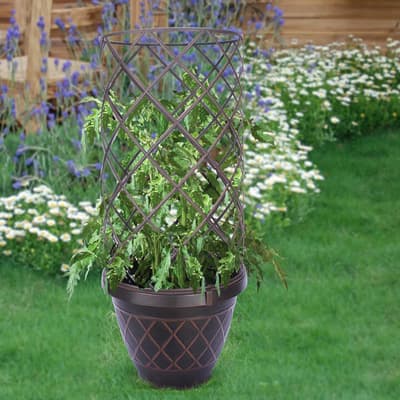 maceta-con-enrejado-para-plantas-trepadoras-hdr-054863-thumb-1