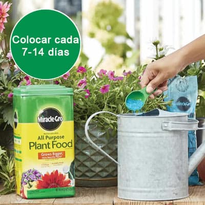 fertilizante-universal-miracle-gro-193-kg-24-8-16-thumb-1