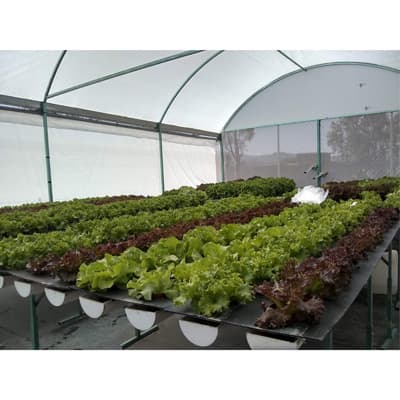 sustrato-perlita-10-lt-152537-thumb-1