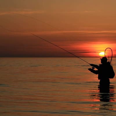 cana-de-pescar-con-carrete-7ft-310002-310002-thumb-1