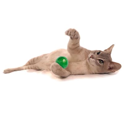 juego-de-6-pelotitas-para-gatos-681007-thumb-1