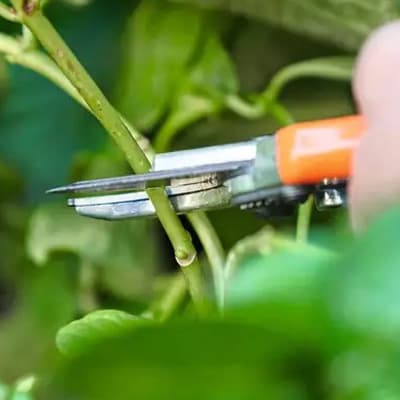 tijeras-para-poda-stihl-0000-882-0704-thumb-2