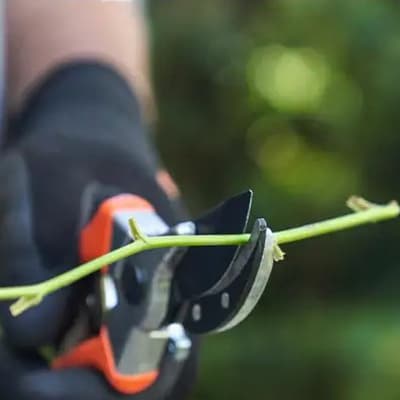 tijeras-para-poda-stihl-0000-882-0704-thumb-3