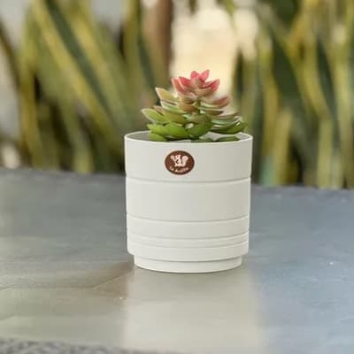 maceta-amalfi-blanco-niebla-20-cm-maaf2037-thumb-2