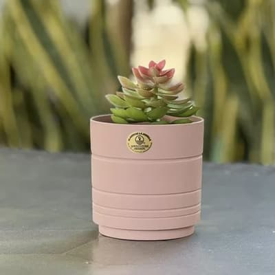 maceta-amalfi-rosa-satin-20-cm-maaf2092-thumb-2