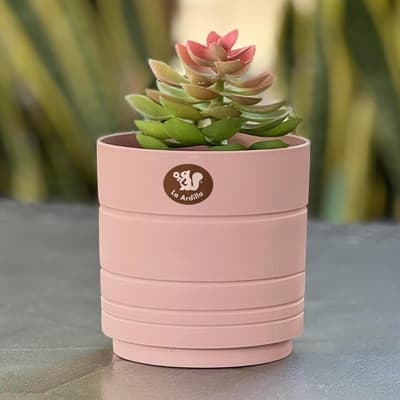 maceta-amalfi-rosa-satin-28-cm-maaf28-rosa-s-thumb-1