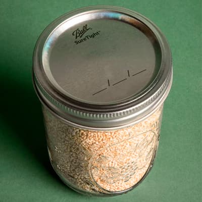 juego-de-12-tapas-para-frascos-ball-con-boca-ancha-42000-thumb-1