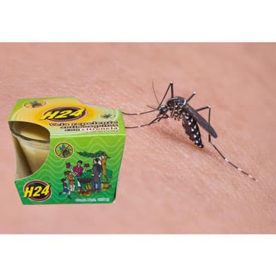 vela-antimosquitos-0631-thumb-2