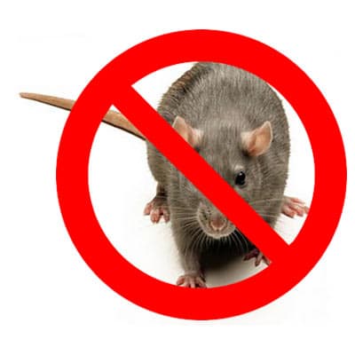 rodenticida-ratafin-ratafin-thumb-1