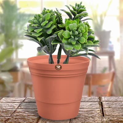 maceta-artesana-jumbo-barro-maju0001-thumb-1