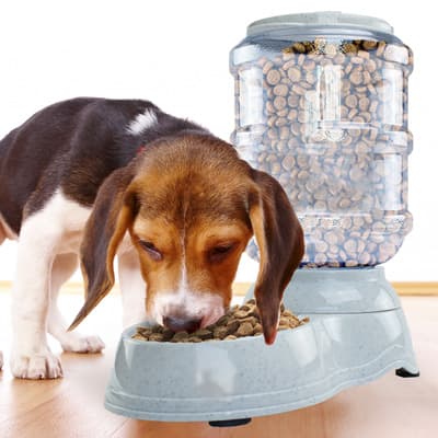 alimentador-automatico-para-mascota-661507-thumb-1