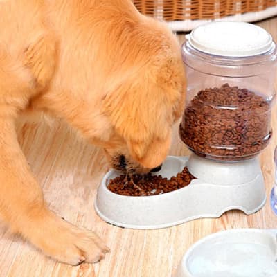 alimentador-automatico-para-mascota-661507-thumb-3