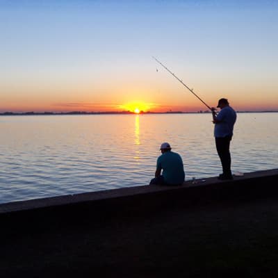 cebo-de-pesca-lizard-black-6-002-038-thumb-3