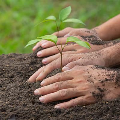 abono-de-borrego-enriquecido-3-kg-organico-thumb-1