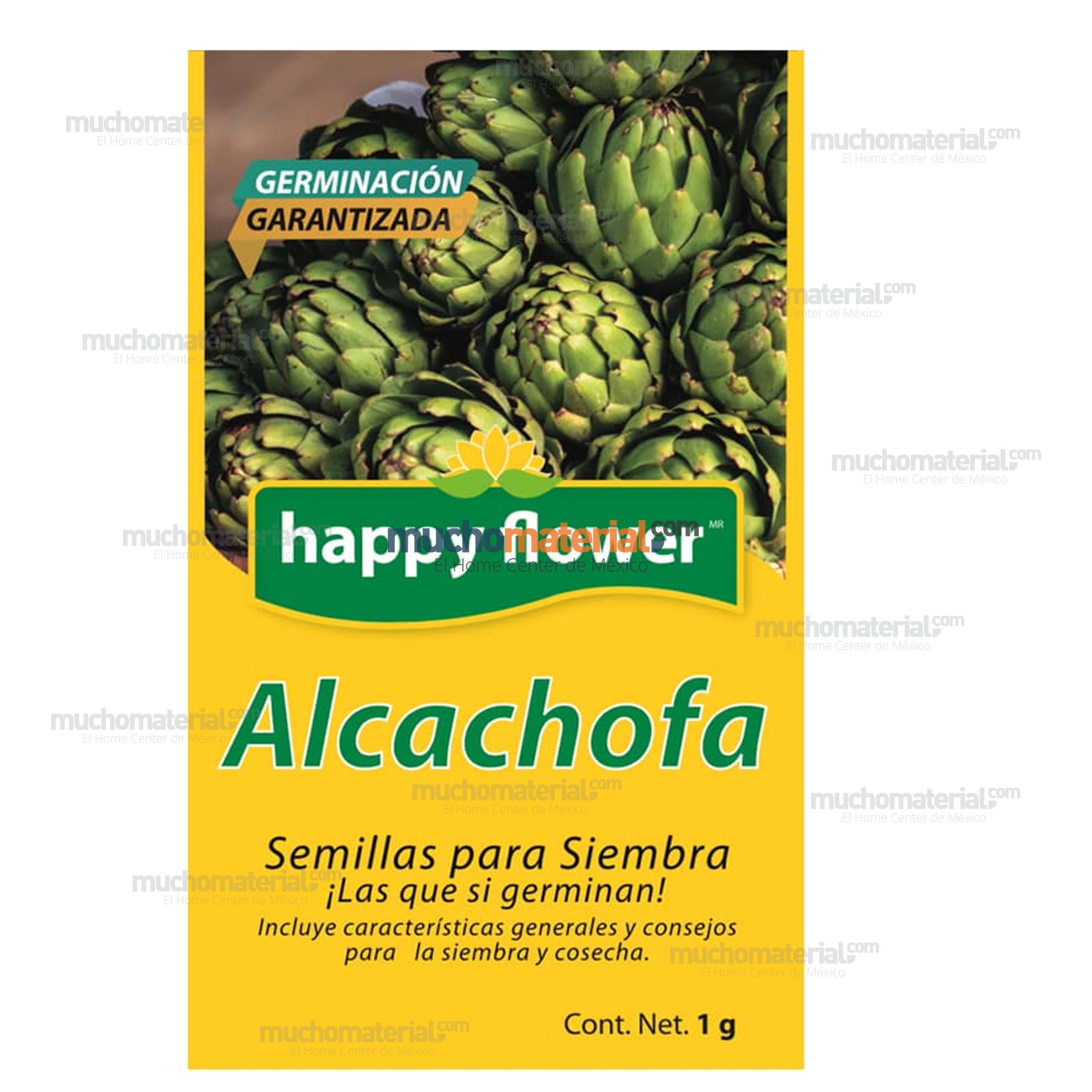 semilla-para-siembra-de-alcachofa-ne