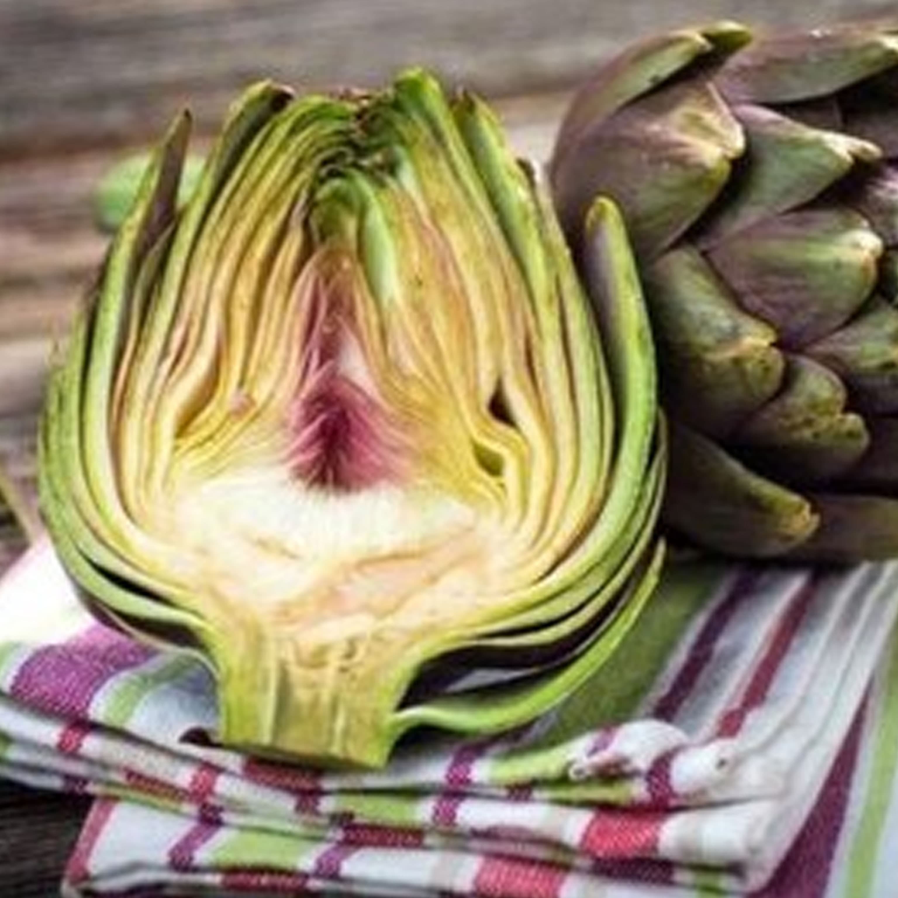 semilla-para-siembra-de-alcachofa-ne-thumb-2