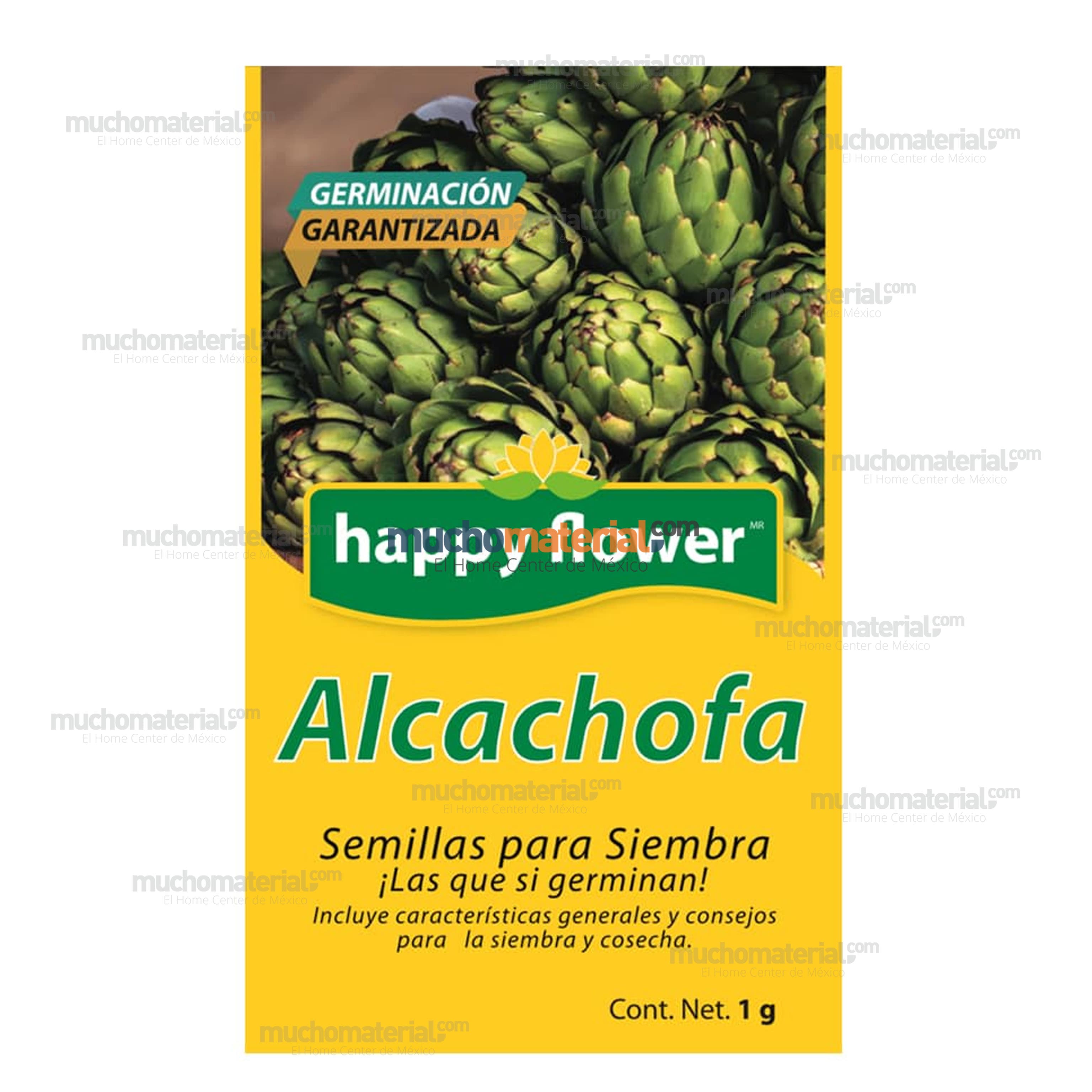 semilla-para-siembra-de-alcachofa-ne-thumb-4
