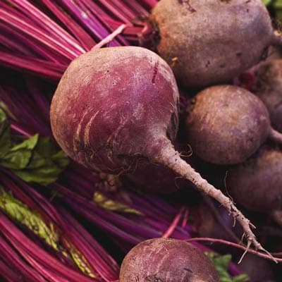 semilla-para-siembra-de-betabel-ne-thumb-2