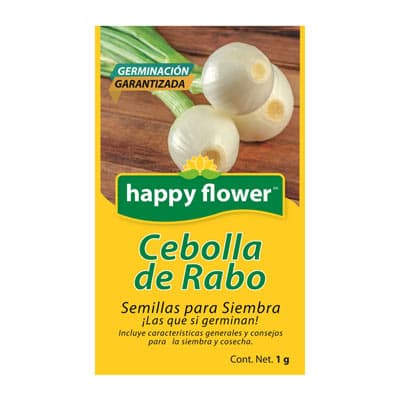 semilla-para-siembra-de-cebolla-de-rabo-ne-thumb-3