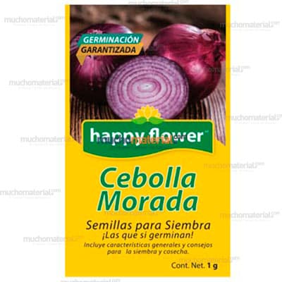 semilla-para-siembra-de-cebolla-morada-cebolla-morada