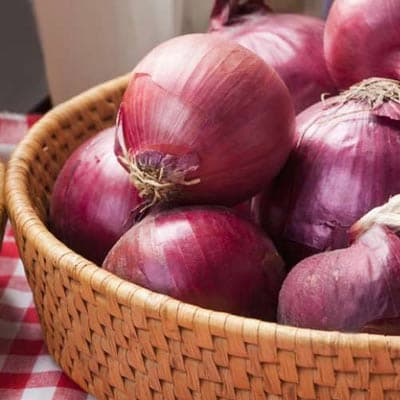 semilla-para-siembra-de-cebolla-morada-cebolla-morada-thumb-2