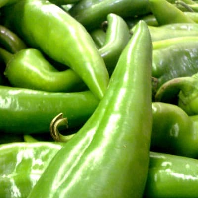 semilla-para-siembra-de-chilaca-ne-thumb-1