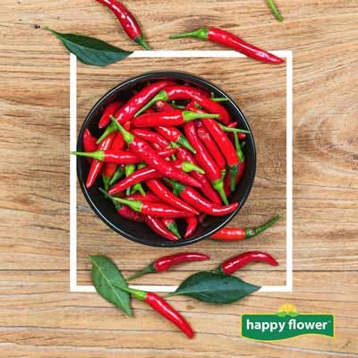 semilla-para-siembra-de-chile-de-arbol-ne-thumb-1