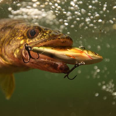 cebo-de-pesca-flotante-4-piezas-blz4pk-thumb-1