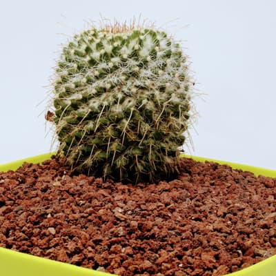 tezontle-piedra-volcanica-rojo-28-l-v00406-thumb-1