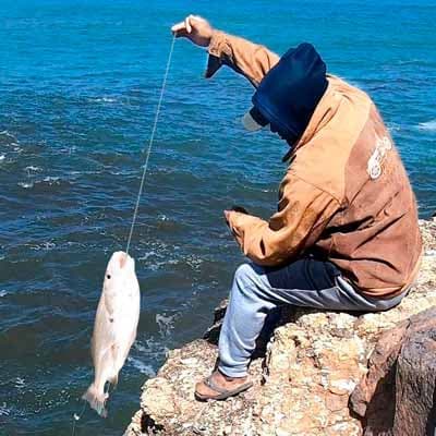 cebo-de-pesca-240015-thumb-1