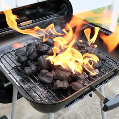 carbon-vegetal-applewood-3-kg-t08018awc001-thumb-1