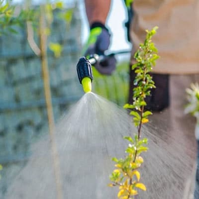 insecticida-organico-insectig-thumb-1