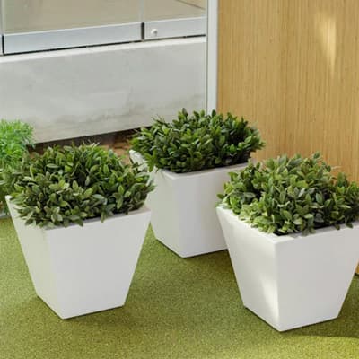 maceta-clavel-30-blanco-clavel-30-thumb-1