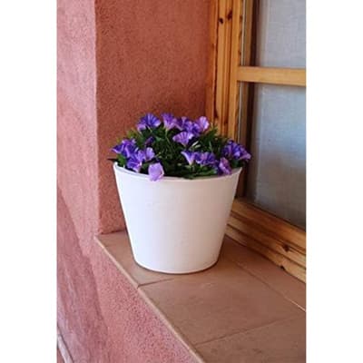 maceta-petunia-36-blanco-petunia-36-thumb-1