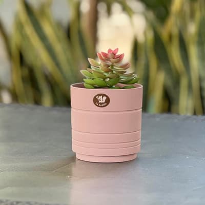 maceta-amalfi-rosa-satin-15-cm-maaf15-rosa-s-thumb-1